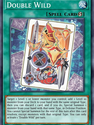 Double Wild Spell Card SUDA-EN065