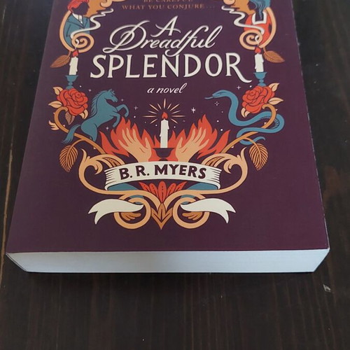B.R. Myers A Dreadful Splendor paperback