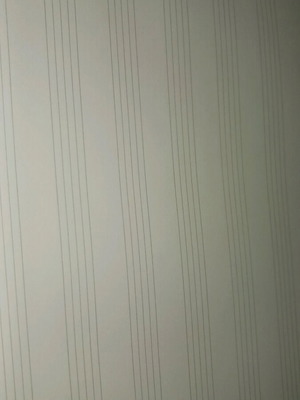 Music notebook small size new