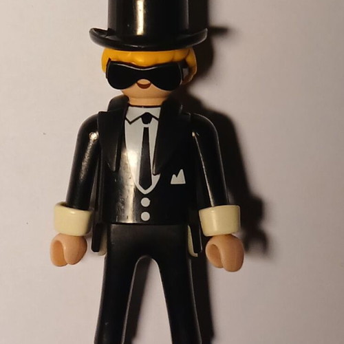 Playmobil Musician used in very good condition