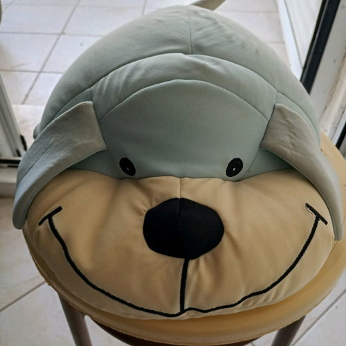 Stress relief pillow decorative used with beads inside