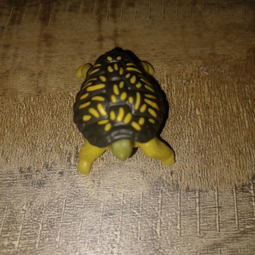 Kinder turtle like new
