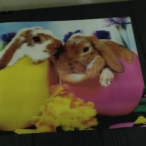 3D Picture With Bunnies In Eggs, Like New, 39x29 cm