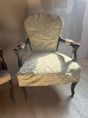 Vintage Rococo / Louis XV Armchair Cover used