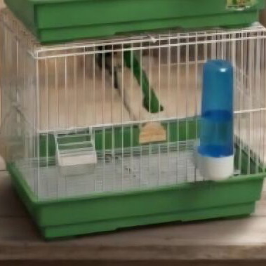 Birdcage for Canaries and Small Birds used, 35.5 x 24.7 x 37 cm