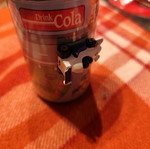 Cola plastic race tin used