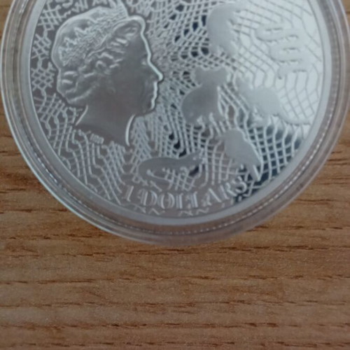 Silver collector coin with Queen Elizabeth II portrait new
