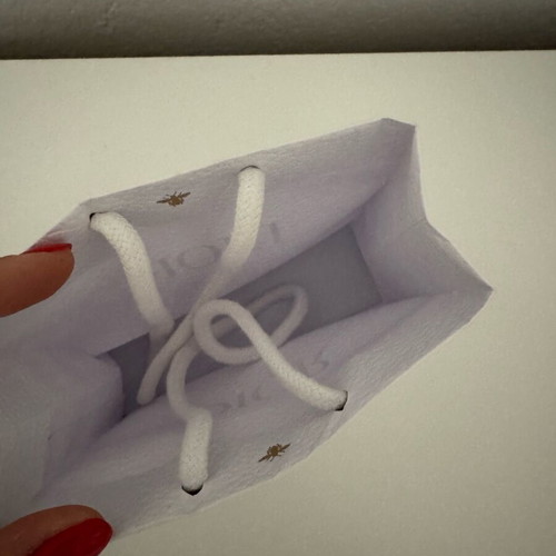 Dior mini bag new