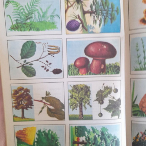 Student images like new, three issues from the 1970s