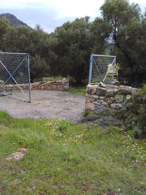 Land 18 acres with olive and mastic trees in Chios, buildable