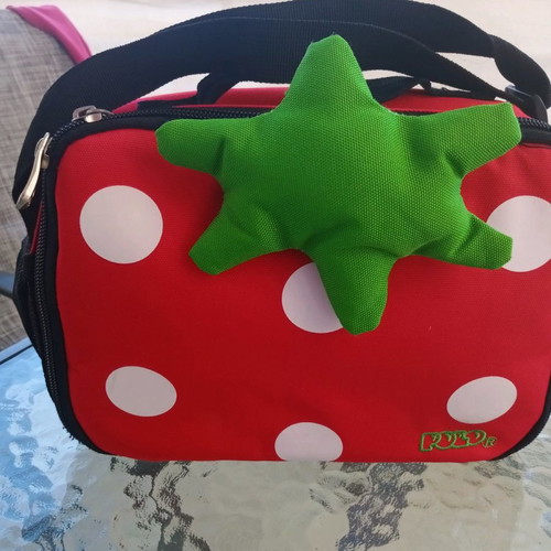 Insulated lunch bags set of 2, like new condition