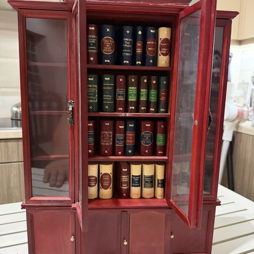 Deagostini small bookcase with books used