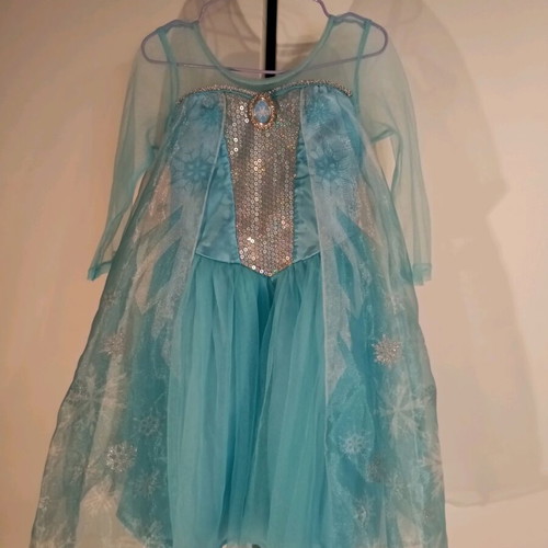 Frozen dress costume for kids 4-5 years like new