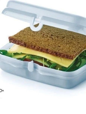 Sandwich box new