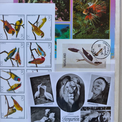 Album A4 16 pages like new with multinational animal stamp collection