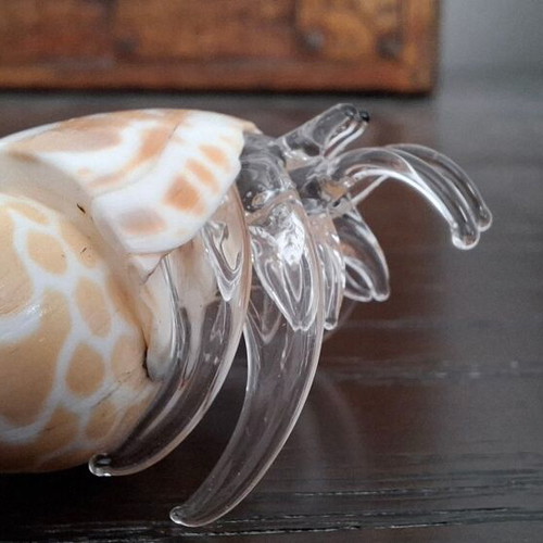 Decorative collection of real shells with crystal new