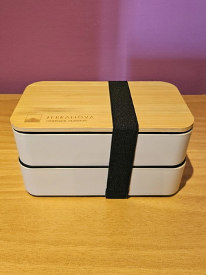 Bamboo lunchbox TerraNova new with two levels and bamboo lid