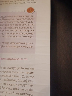 Kuby Immunology book