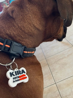 Custom pet tag new 3D printed Pla