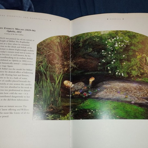 Essential Pre-Raphaelites book like new, Lucinda Hawksley