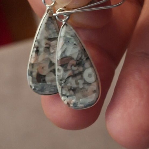 Fossil Crinoid Earrings silver plated 925 new