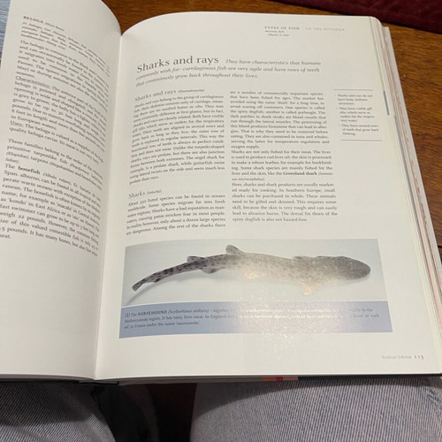 Teubner Fish and Seafood book new, English