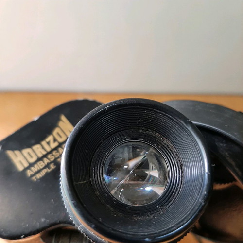Horizon Ambassador 10×50 binoculars used, vintage Japanese model