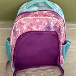 Frozen school backpack used