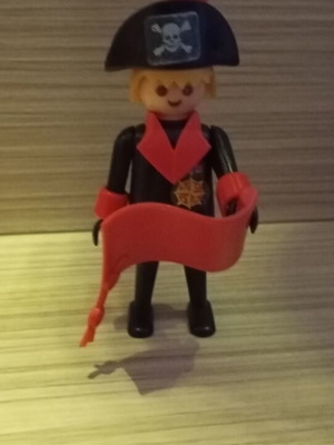 Playmobil pirate used