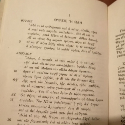 Theocritus Idyls like new