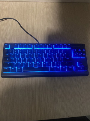 SteelSeries Apex 3 TKL gaming keyboard used