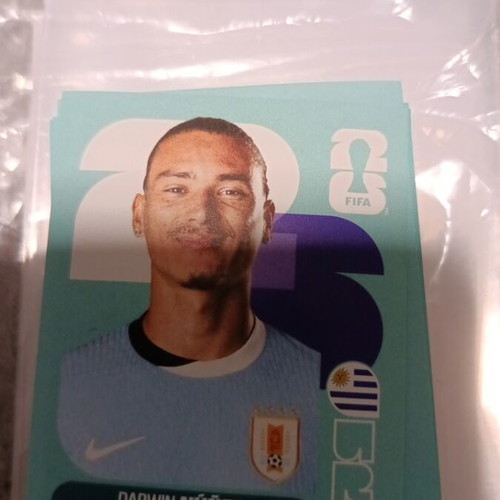 Panini FIFA World Cup 2026 Sticker like new
