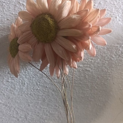 Decorative flowers used