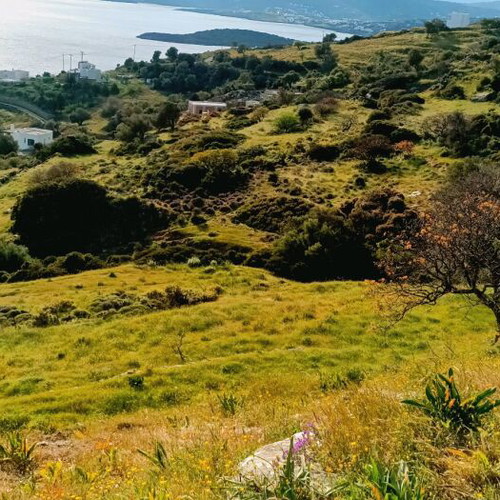 Andros Land Plots 4 Stremmata with Spring and View, Buildable