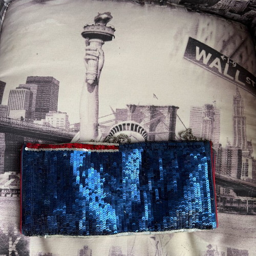 Sequin crossbody bag used