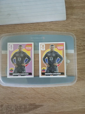 Moises Caicedo extra stickers, pack of 2