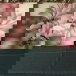  Πακέτο Καδρακια Flower print