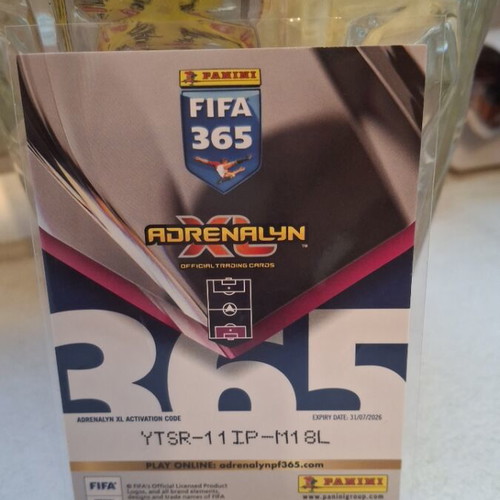 Mike Maignan Numbers Panini 2026 card