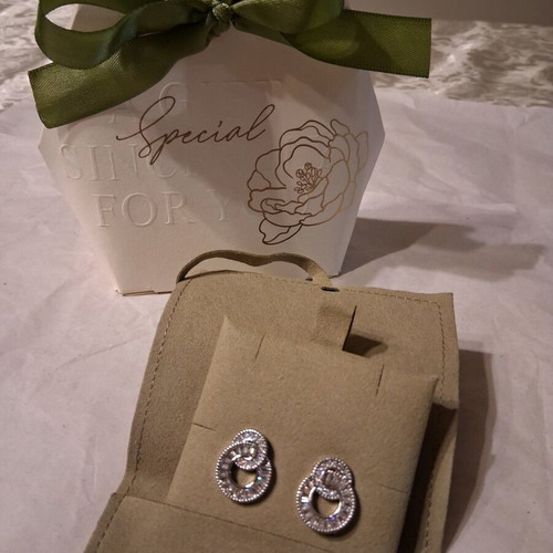 Earrings plated steel and zirconia new with gift packaging