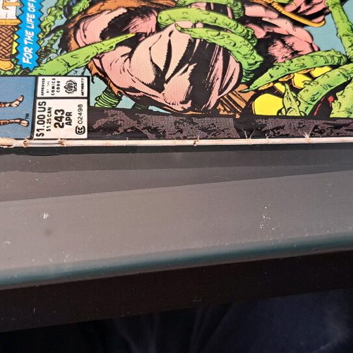 Conan the Barbarian #243 Marvel Comics used, English