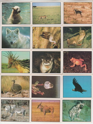 WWF Animals to Save Panini 59 Different Stickers Like New