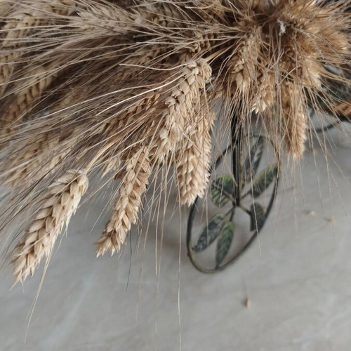 Dried wheat stalks with decorative gift