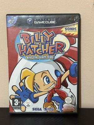 Billy Hatcher game case used, good condition