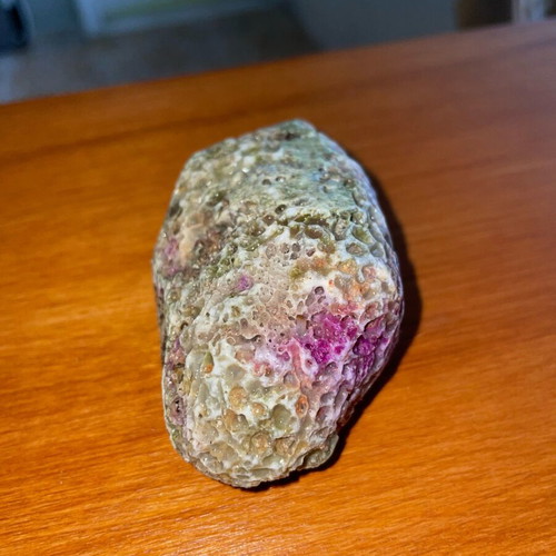 Fossilized coral in limestone new, natural stone