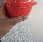 Tupperware apple container new, airtight food storage