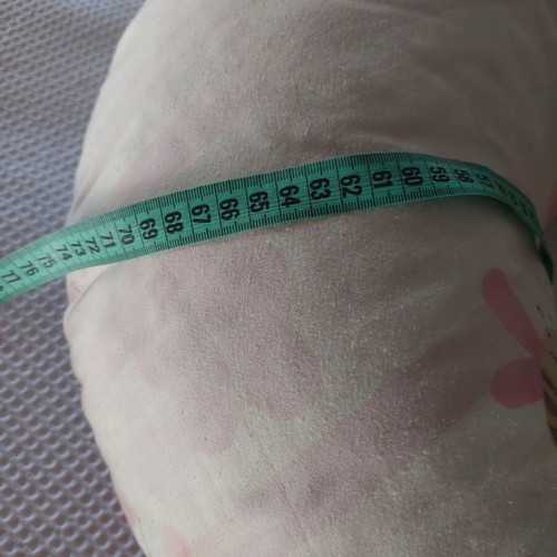 Nursing and Pregnancy Pillow like new with practical clip