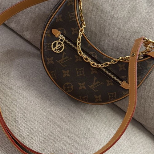Louis Vuitton PM Loop bag luxury monogram canvas crossbody