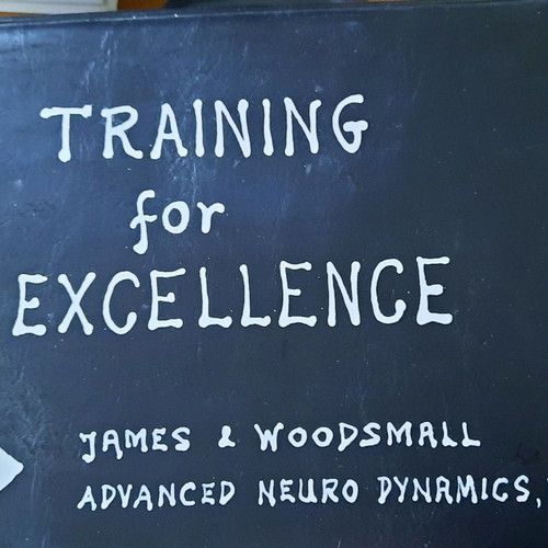 Training for Excellence complete NLP education new