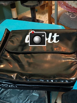 Pizza delivery bag, insulated and durable