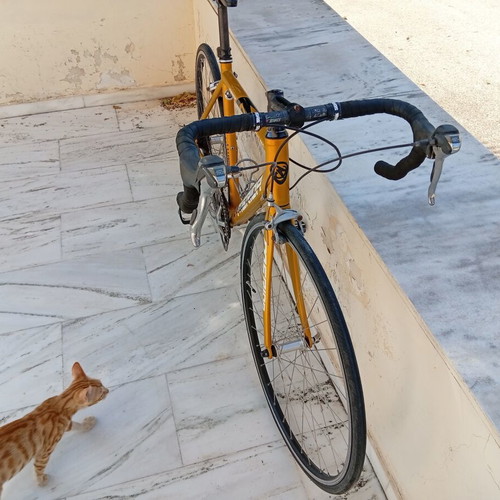 Merida road bike with helmet, lock and tools
